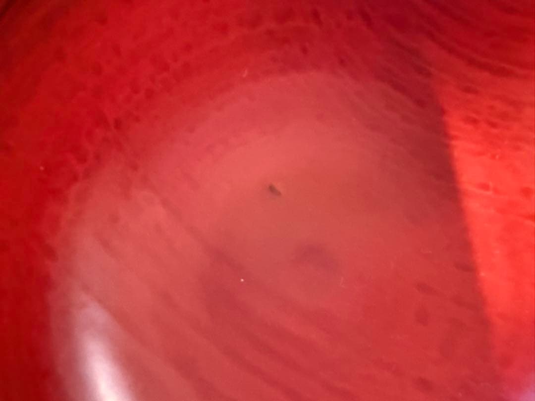 極上逸品！輪島塗 角偉三郎 作　正倉院朱塗り小椀（五つ星）➁