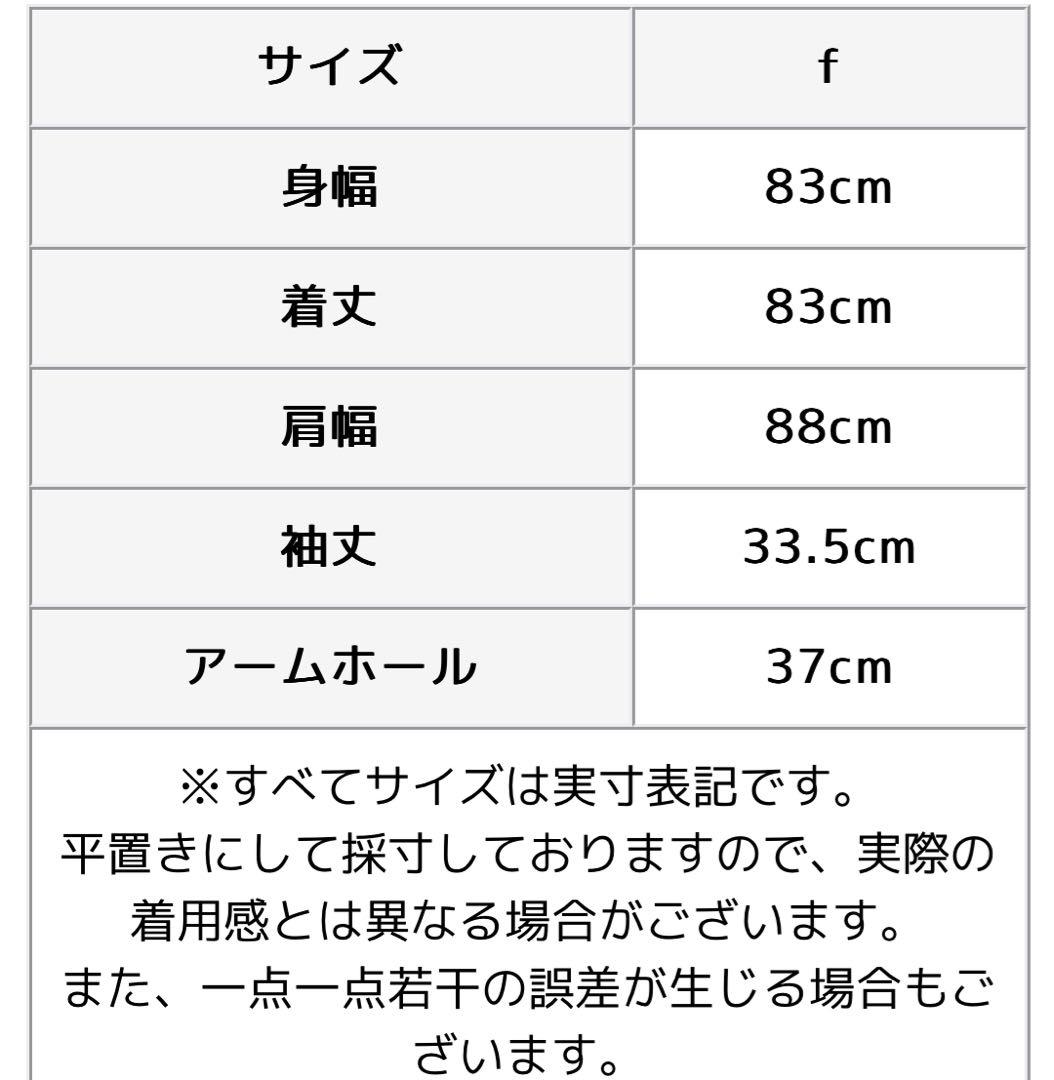 mizuiro ind ポケット付きワイドシャツ 羽織り 2025AW