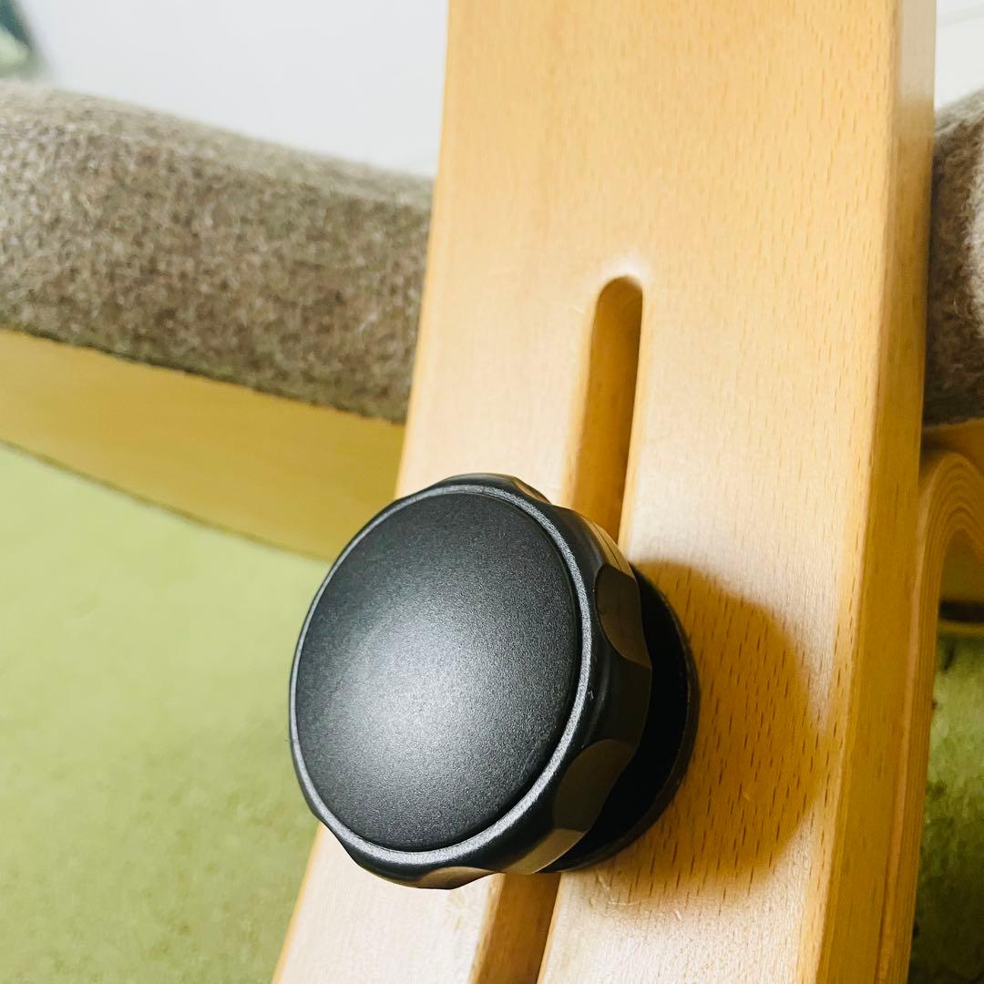 Rybo リボ バランスチェア イージー Balans Easy 姿勢矯正