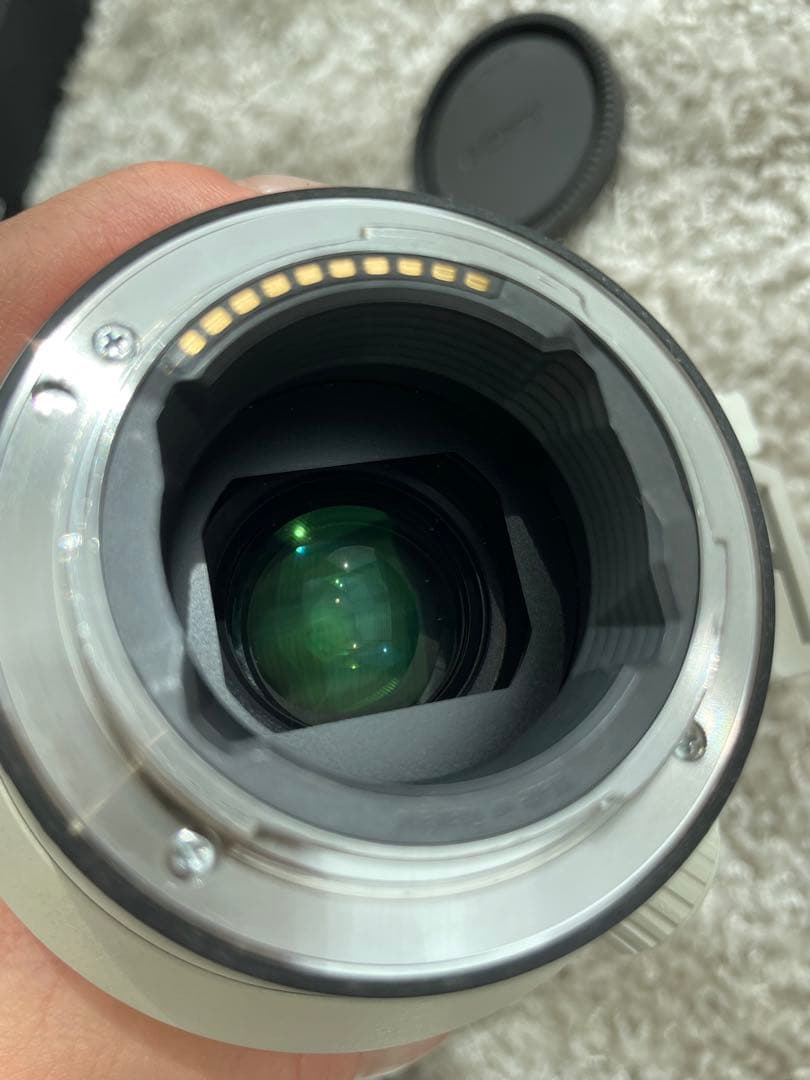 レッド　Sony FE 70-200mm F2.8 GM レンズ