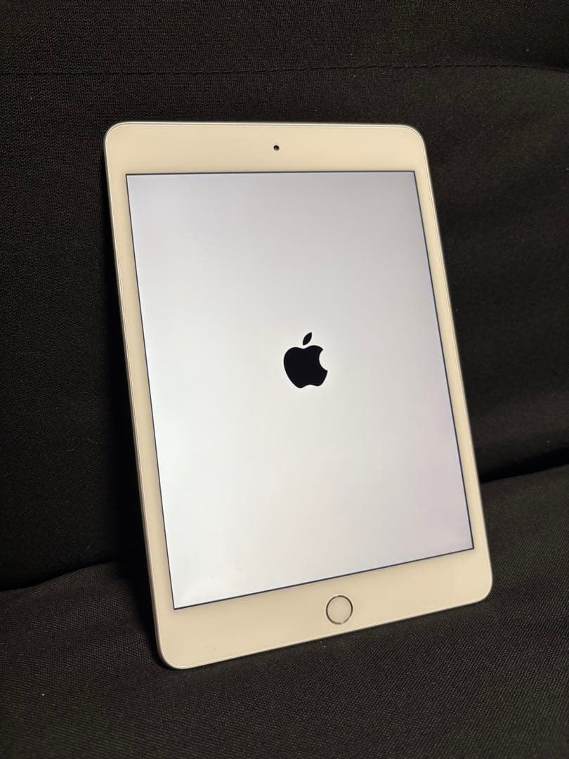 iPad mini Wi-Fi 64GB シルバー（第5世代）＋黒ケース付き