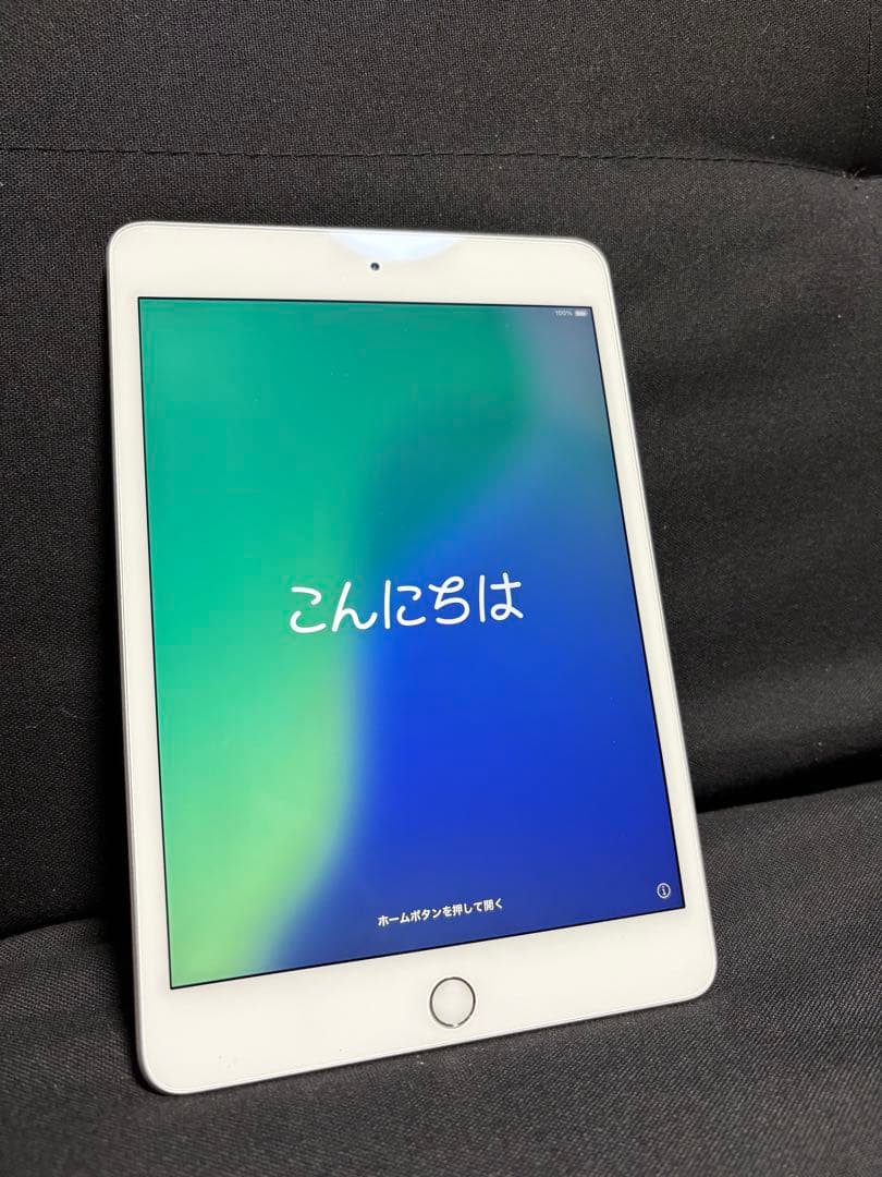 iPad mini Wi-Fi 64GB シルバー（第5世代）＋黒ケース付き