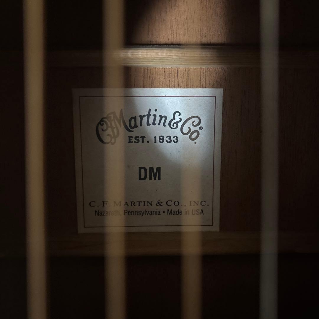 Martin & Co. DM アコースティックギター弦高調整済み