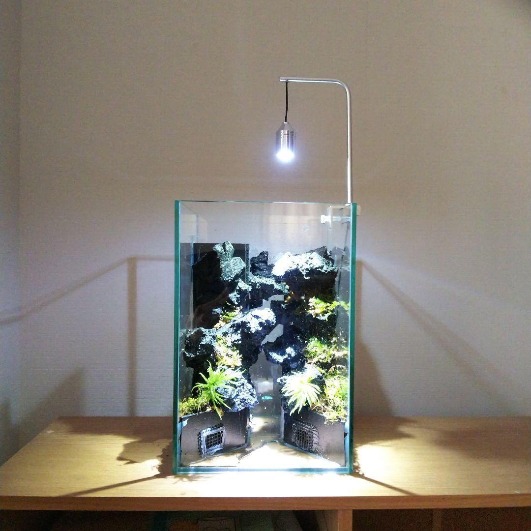 【オーダーメイド】滝のあるアクアテラリウム　苔テラリウム　アクアリウム