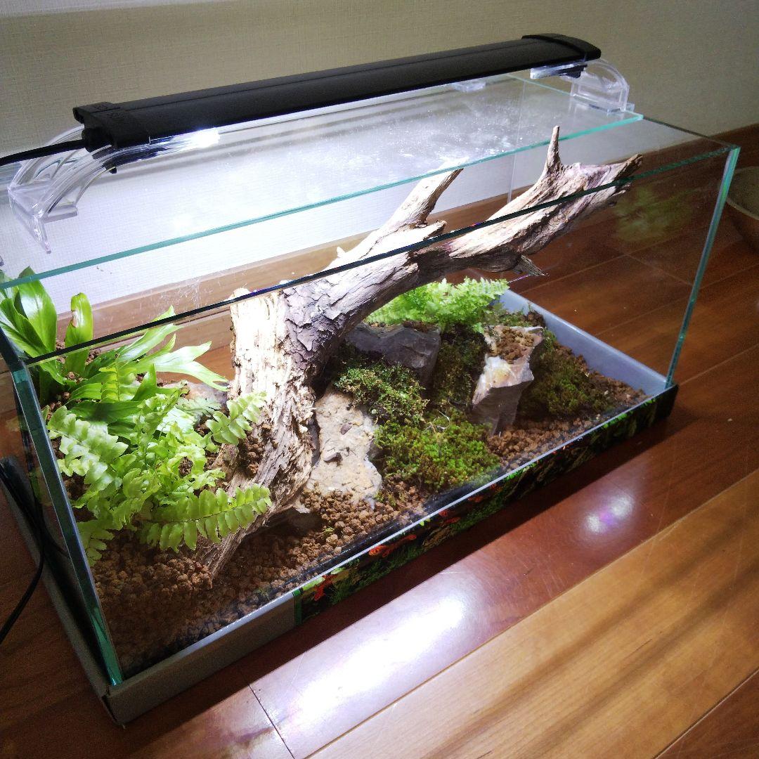 【オーダーメイド】滝のあるアクアテラリウム　苔テラリウム　アクアリウム