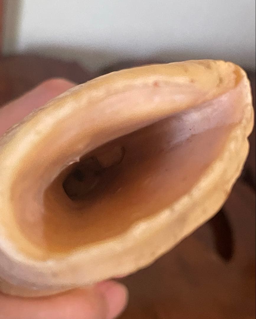 鯨の歯 約20cm 約440g クジラの歯