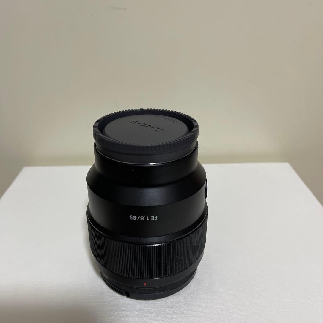 SONY α7Ⅱ( ILCE-7M2 )/ SONY FE 85mm F1.8
