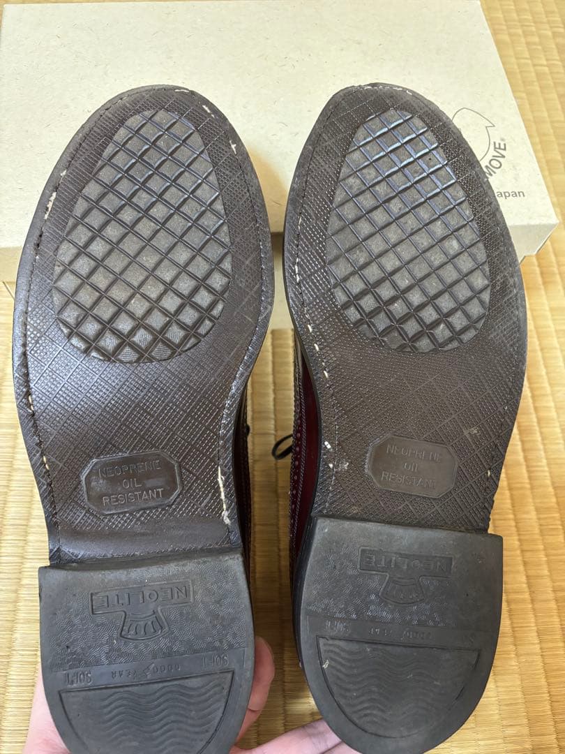 【らいおん】フローシャイムインペリアル　ケンムーアコードバン