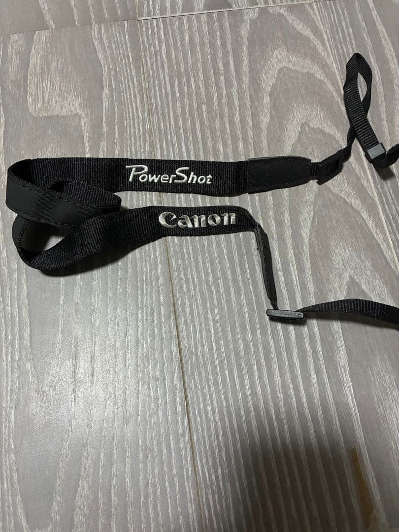 【動作確認済】Canon PowerShot SX530HS　カメラバック付き