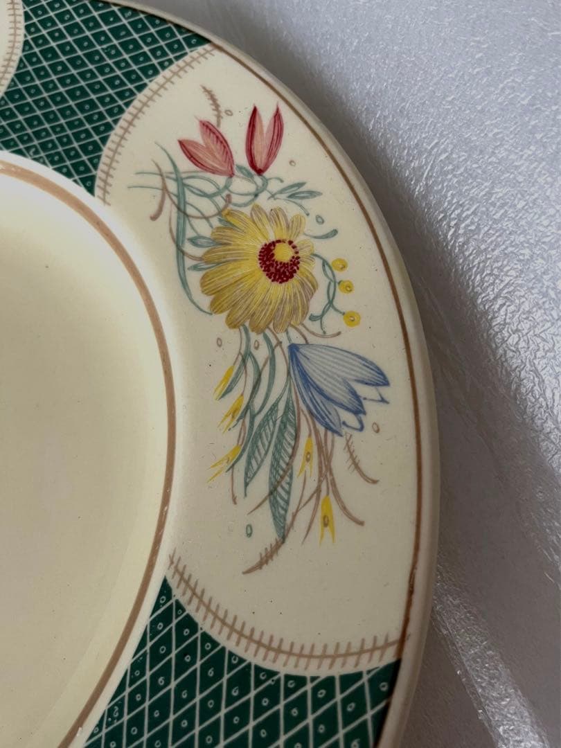 スージークーパー　パネルスプレイ　ディナープレート　25cm