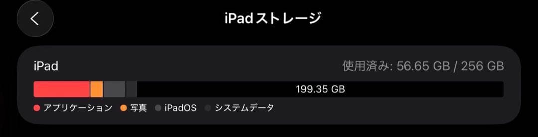 iPad Pro 11 （256GB）+ Apple Pencil 2 おまけ付