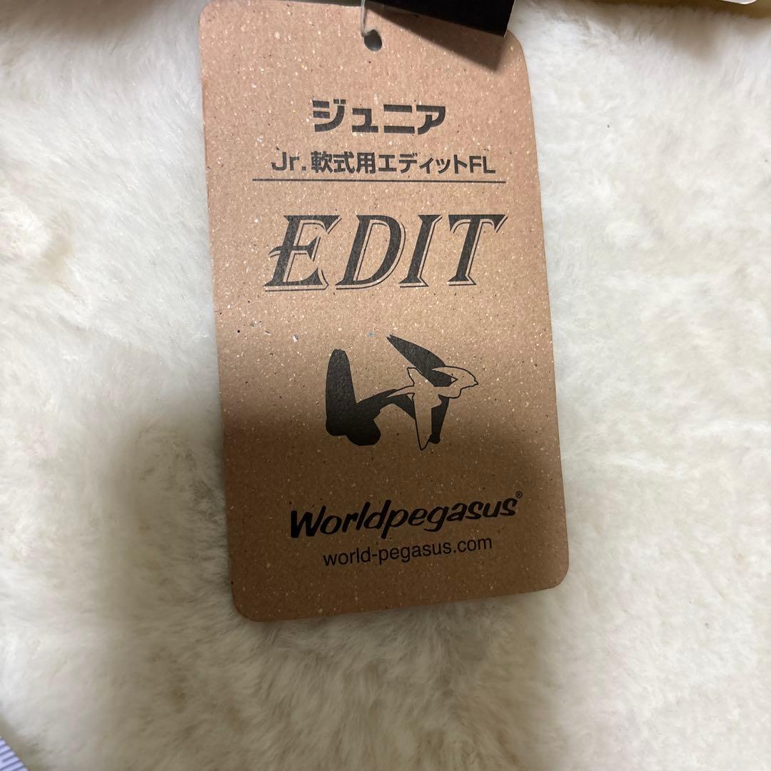 定価税込19910円！ワールドペガサス　少年軟式用　新品未使用