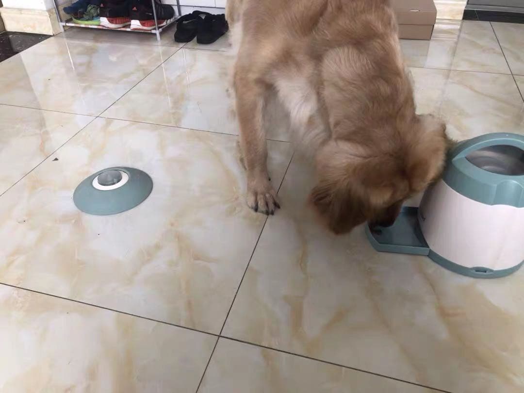 【最新知育玩具】PetDroid 智食堡自動給餌器 IQトレーニング 留守番対策