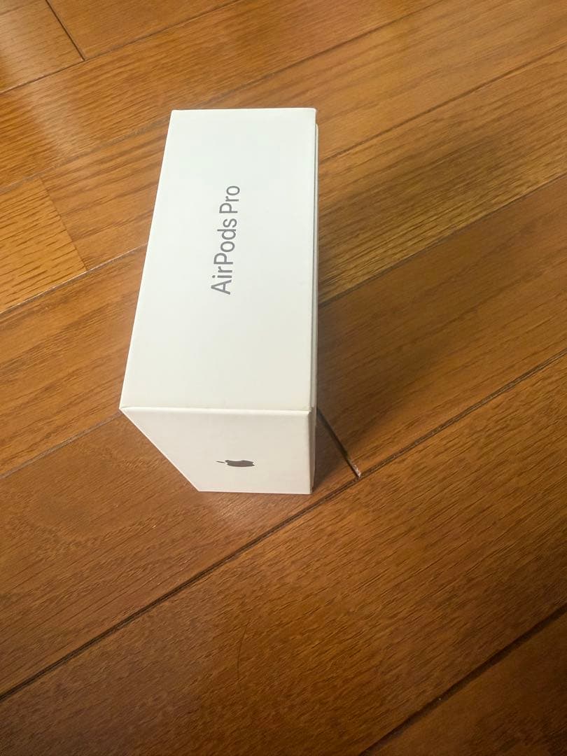 Apple純正 AirPods Pro（第2世代）ライトニング充電端子。