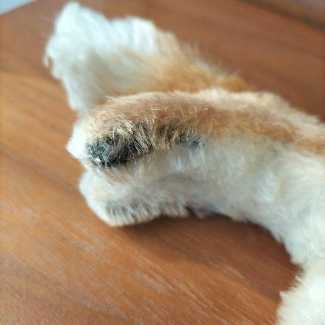 ビンテージ　シュタイフ　きつね　XORRY 小さいサイズ