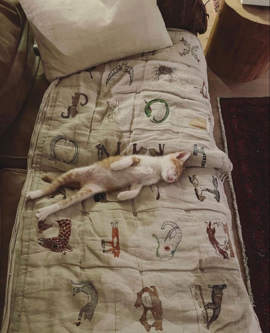 Coral&Tusk アルファベットキルト alphabet quilt