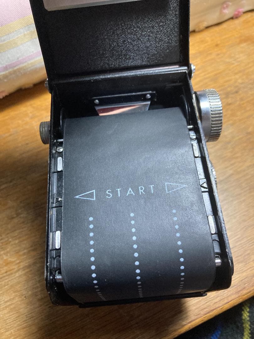 キラキラ感　春のきらめき　YASHICA ROOKIE　FOR　INTERIOR