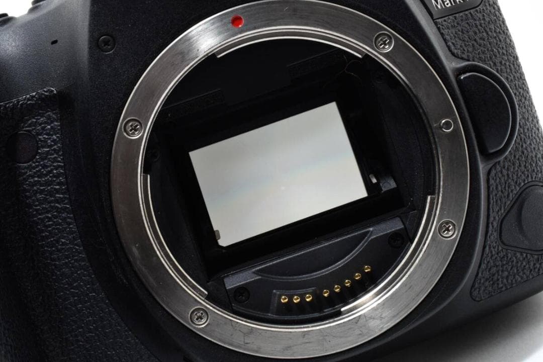 ショット数: 55020回 CANON EOS 6D Mark ii #1114