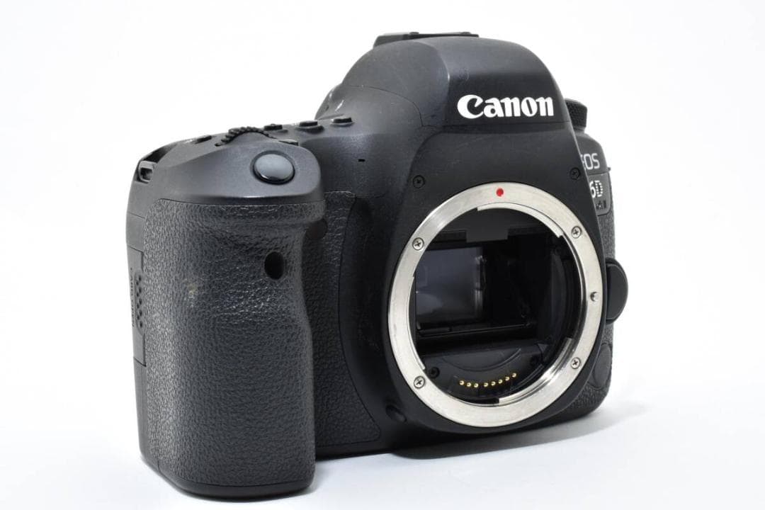 ショット数: 55020回 CANON EOS 6D Mark ii #1114