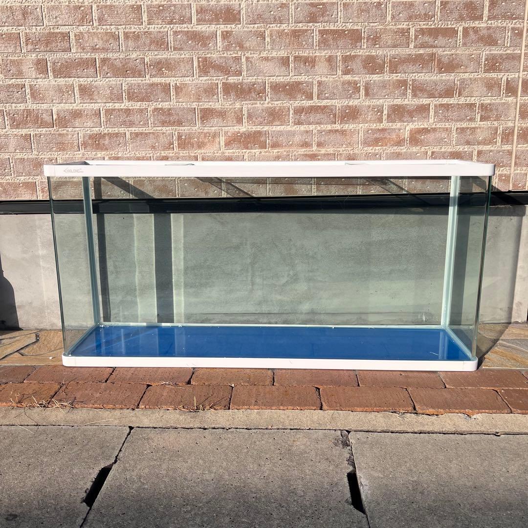 引き取り限定 大きなガラス水槽 青色底面 白色フレーム 1200×570×300