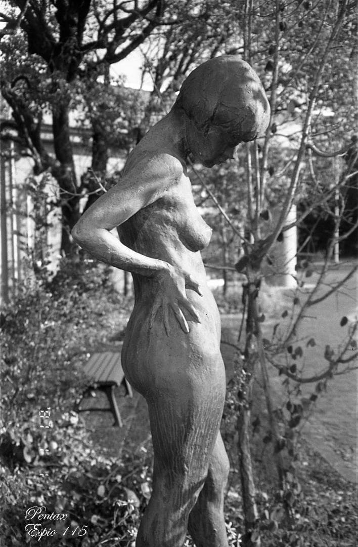 【フィルム実写作例あり】PENTAX ESPIO 115 コンパクトカメラ