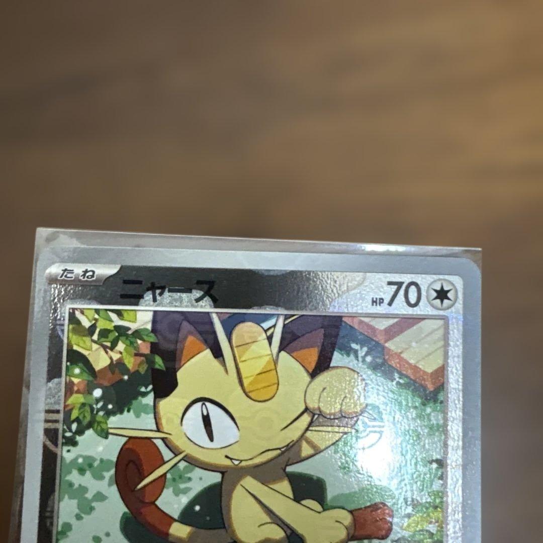 マリィのプライド ミモザSAR ニャースマスターボール