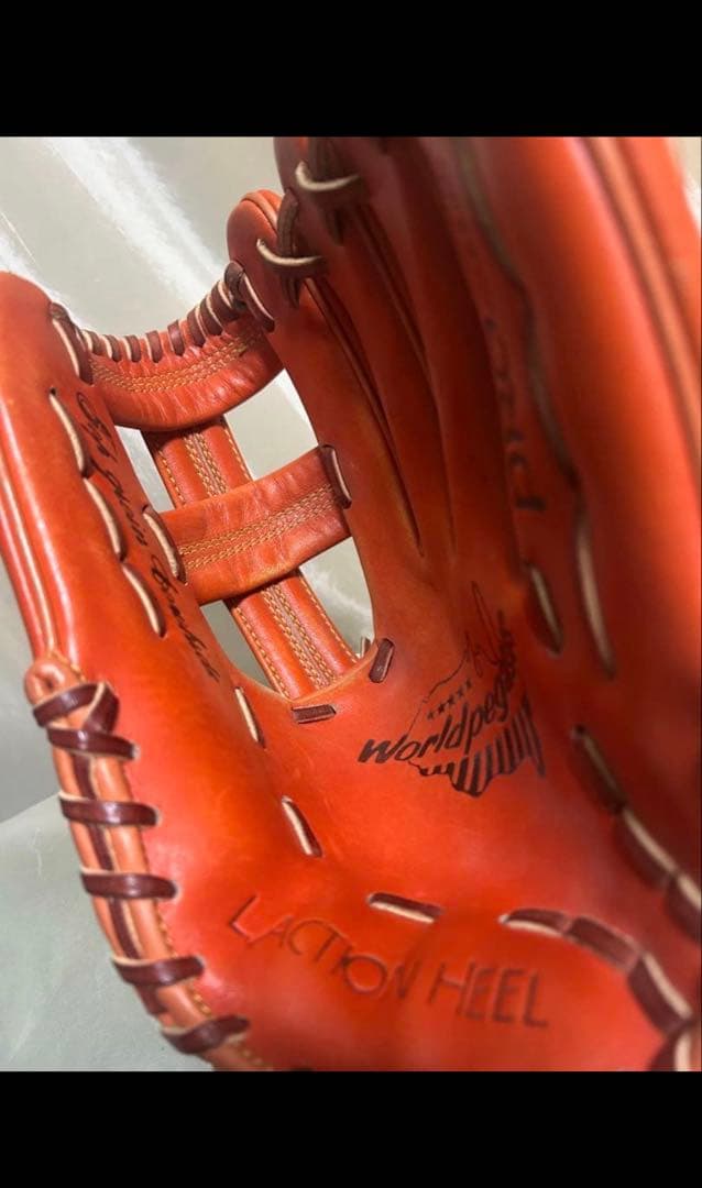 ワールドペガサス グローブ