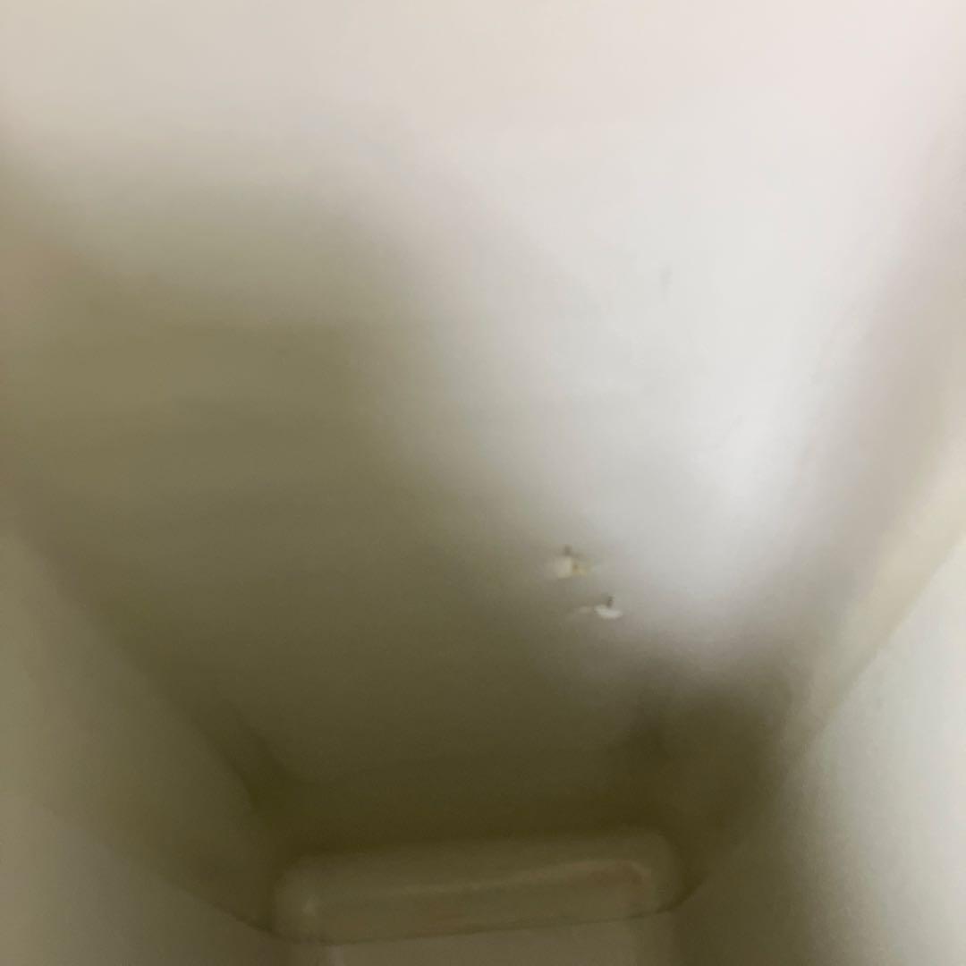 サンヨー　SANYO 冷凍ストッカー フリーザー SCR-S63 62L 動作品