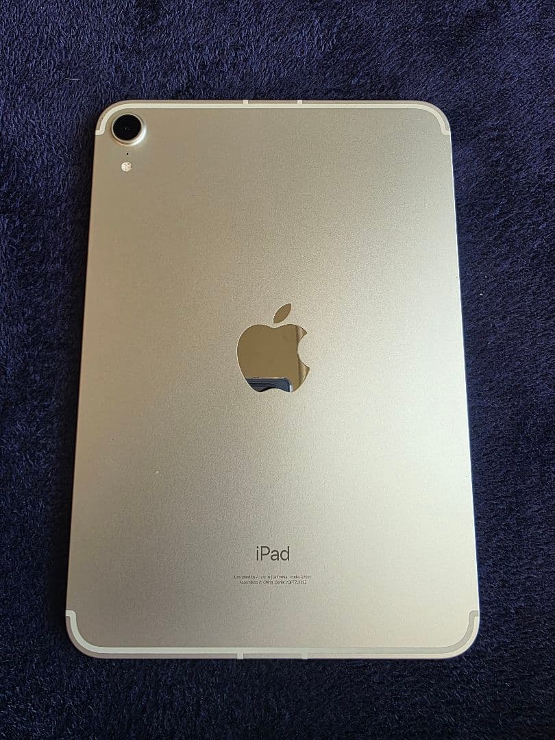 iPad mini6 本体 Starlight　64g 最大容量89%