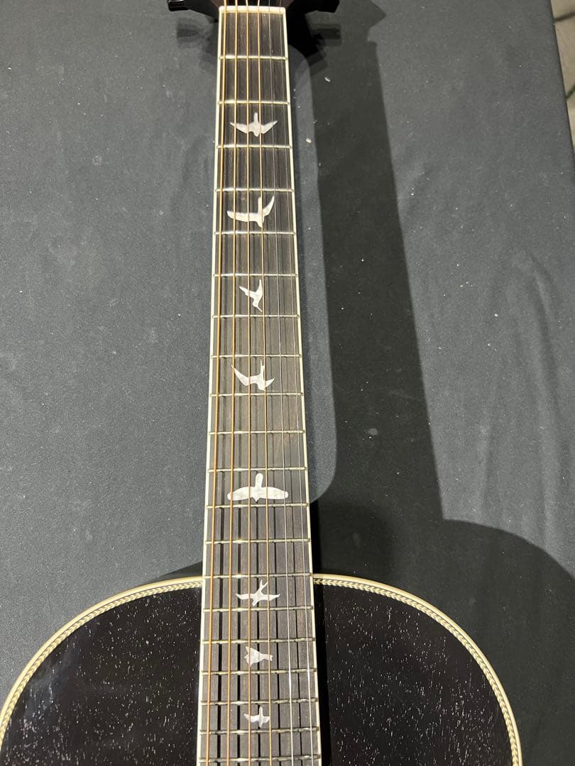 Paul reed smith P20E Doghair 美品