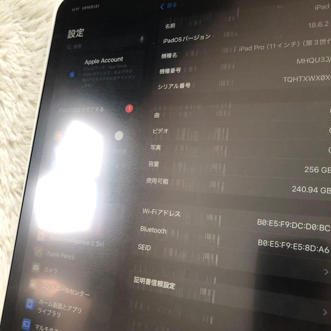 【早い者勝ち】iPad Pro 11インチ 256GB SIMフリー 【即発送】