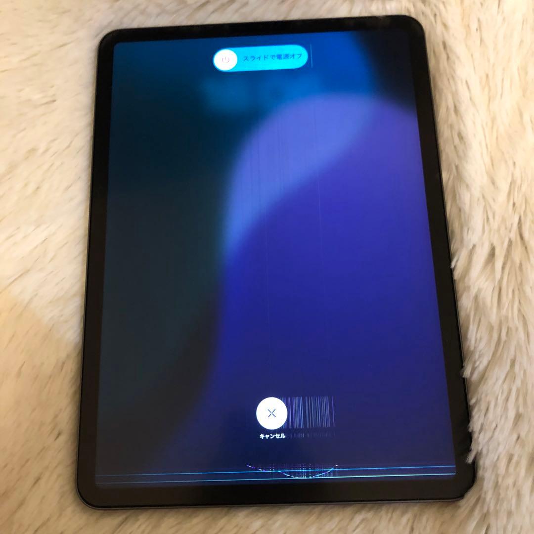 【早い者勝ち】iPad Pro 11インチ 256GB SIMフリー 【即発送】