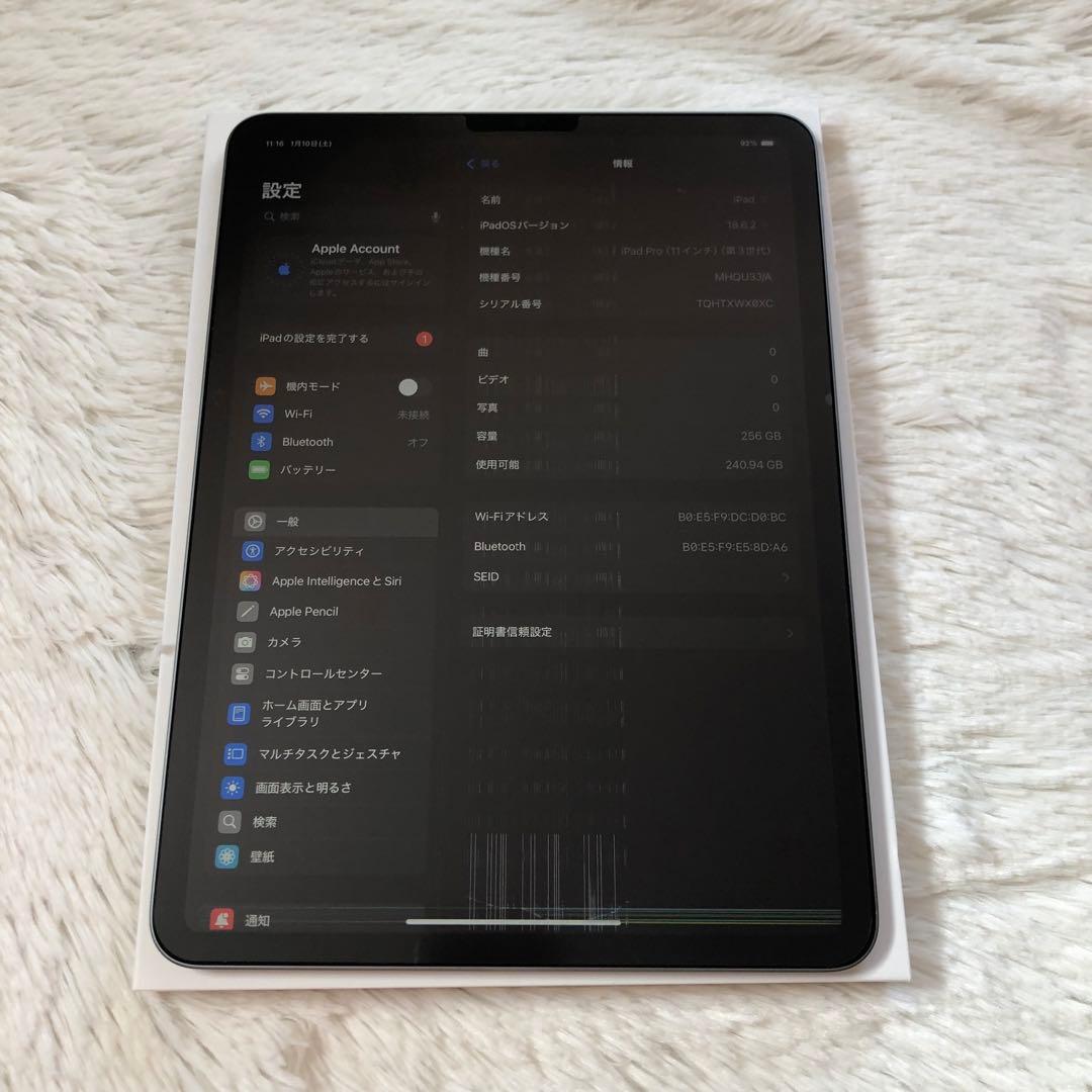 【早い者勝ち】iPad Pro 11インチ 256GB SIMフリー 【即発送】