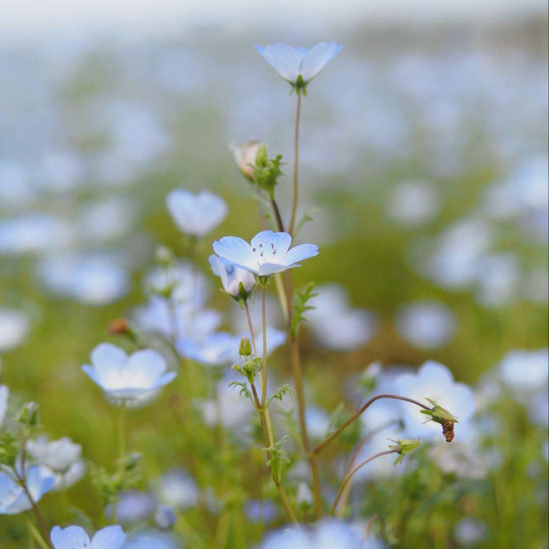 OLYMPUS OM-D E-M5 MarkⅢ