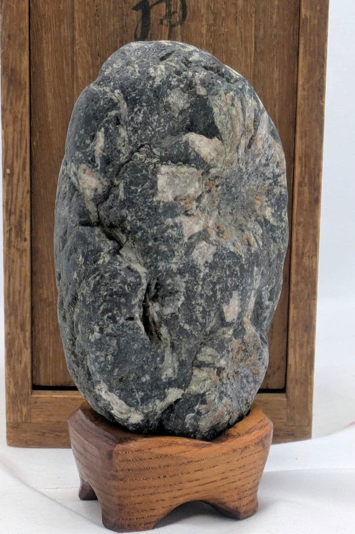 菊花石　ピンク主体の花　根尾 小林宗閑箱書き　鑑賞石 水石 　木製台座　文化財級