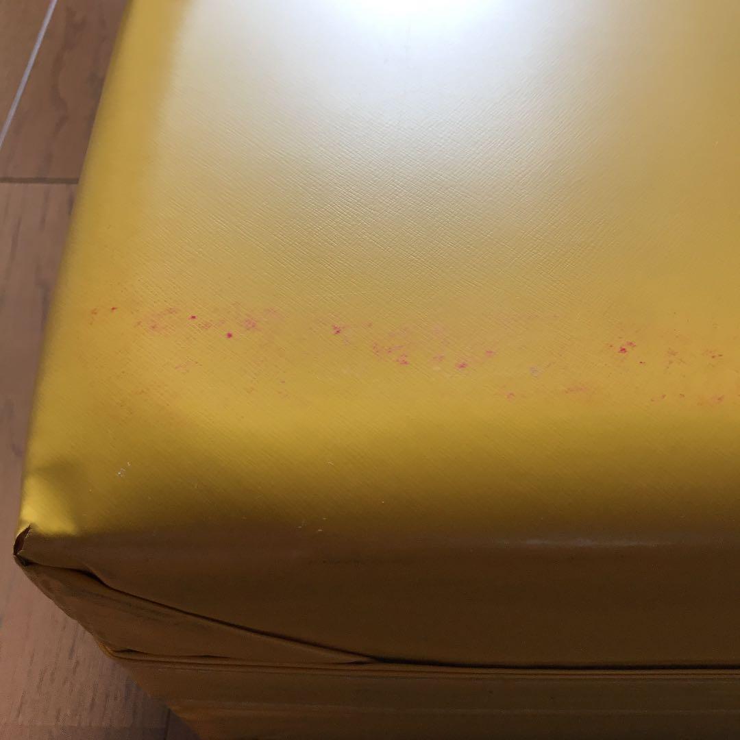 ビンテージ  kodak  ケース