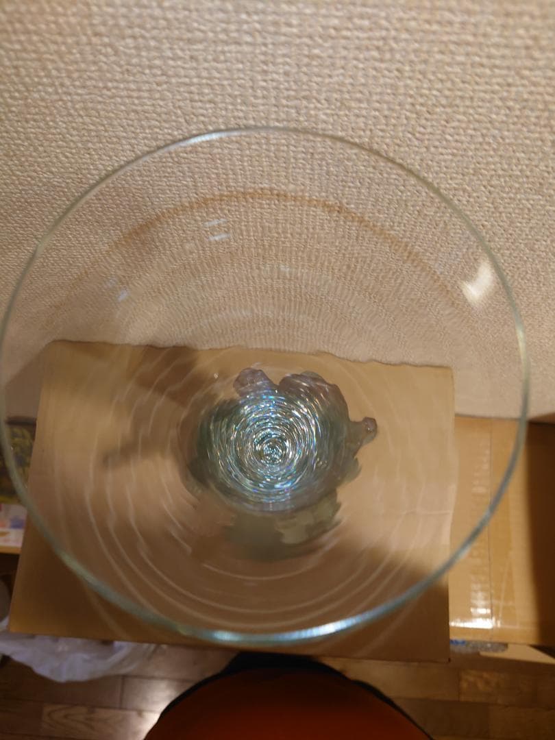 Daum France　ドームフランス　クリスタル　ガラス　昆虫　フラワー　花瓶