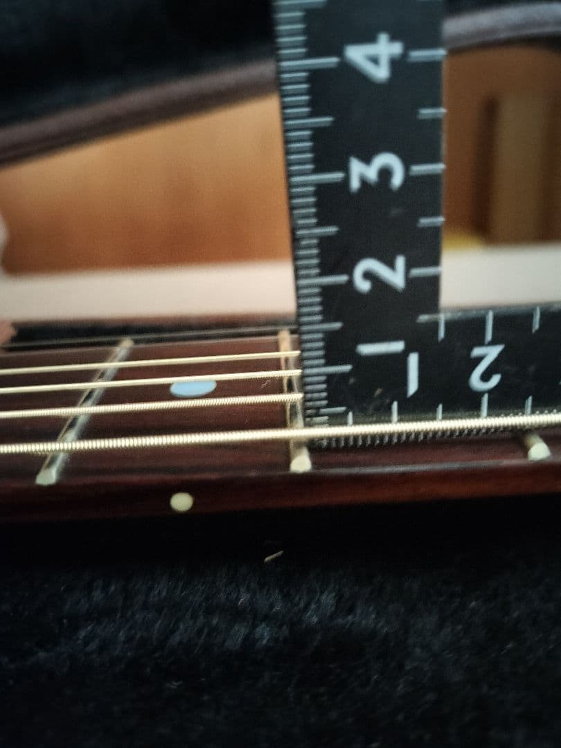 Gibson L-00　original Ebony