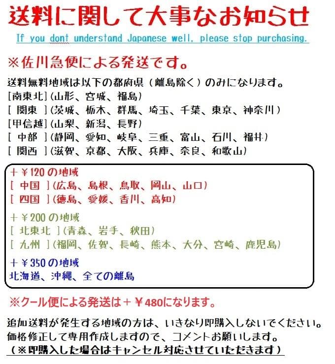 極美品　JUMBO VISMA　長袖ジャージ＋ビブタイツ　Mサイズ　本物正規品
