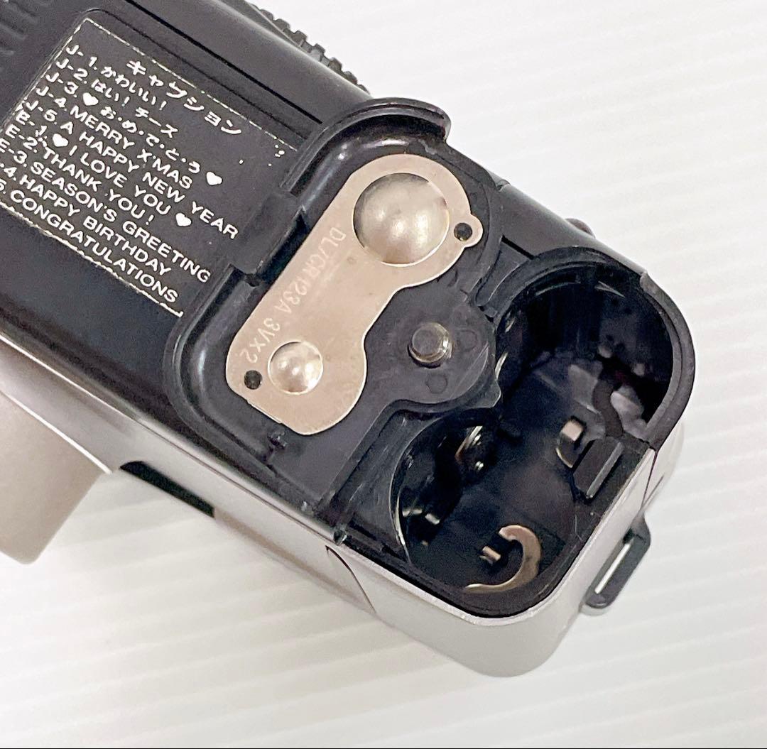 【説明書付 完動品】CANON Autoboy S PANORAMA