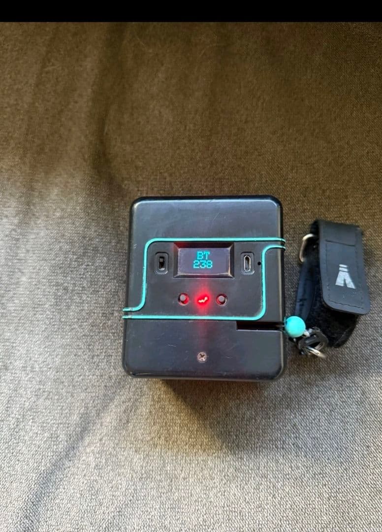 vitruve vbt トレーニング