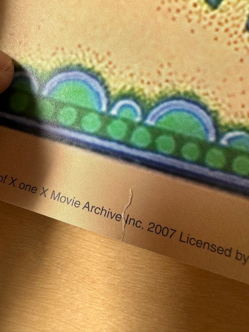 ポスター　ヴィンテージ　The Allman Brothers Band