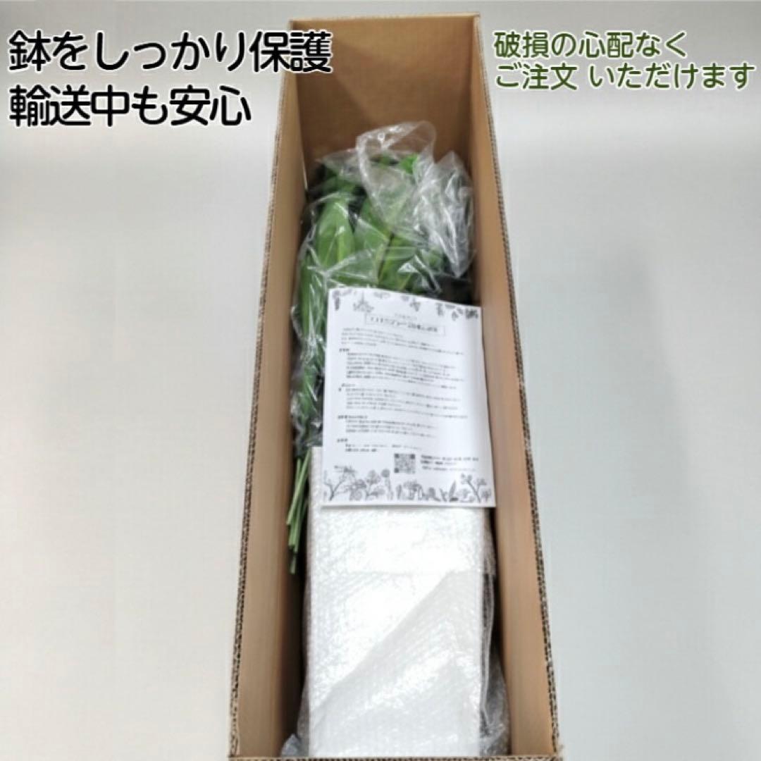 大型 フェイクグリーン ドラセナ 150cm 白鉢付 インテリア 観葉植物