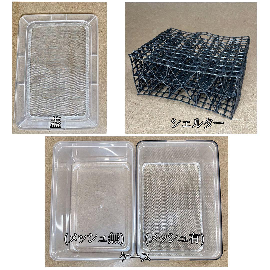 がくじん様　S (シェ)