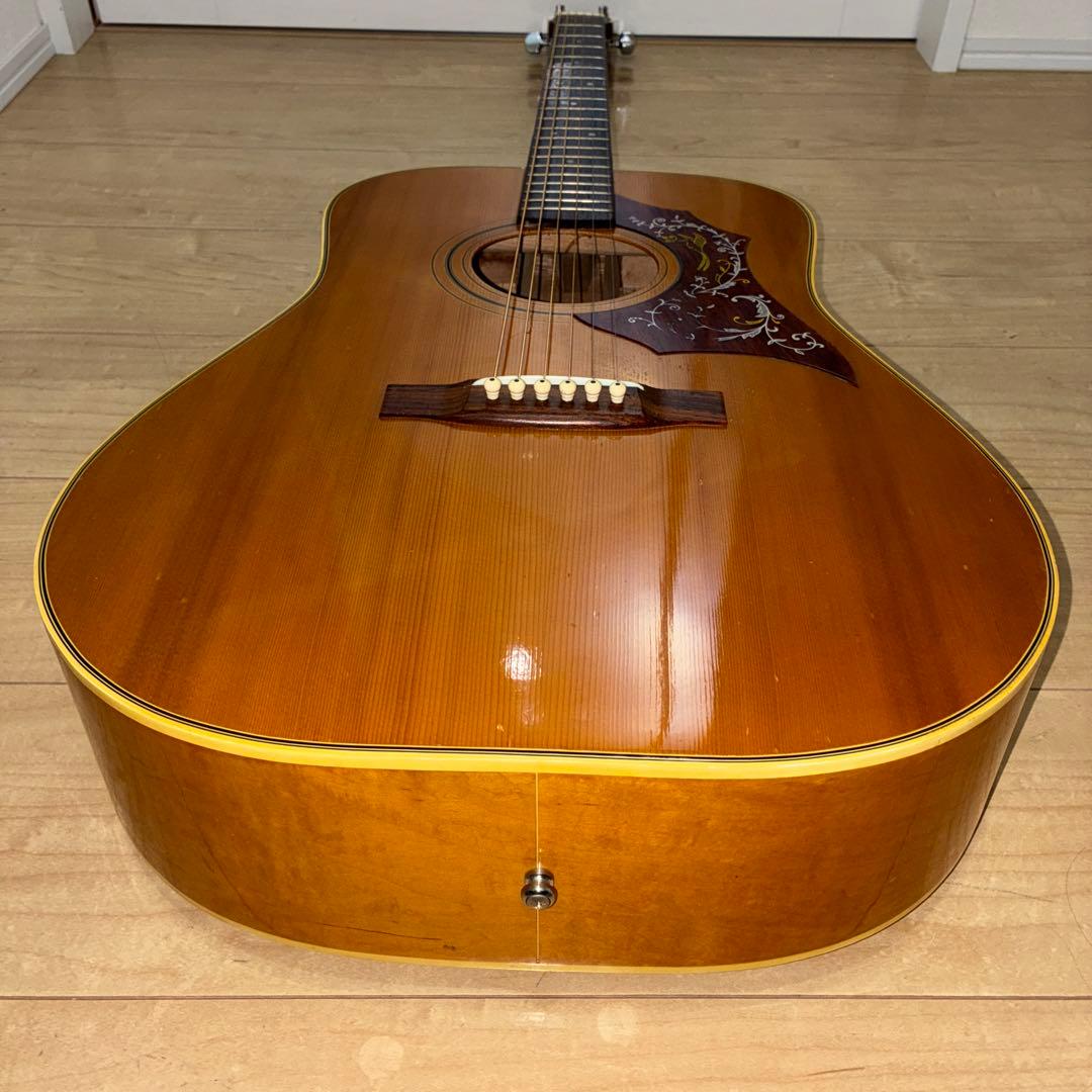 激レア　ZENON 全音　アコースティックギター　ハミングバードタイプ