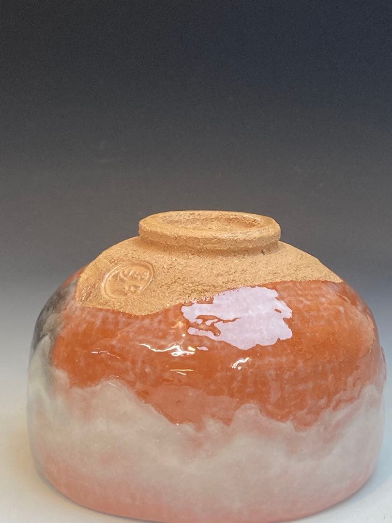 二代 玉藻 氏家常美 作 玉藻焼赤楽茶碗 共箱 茶道具