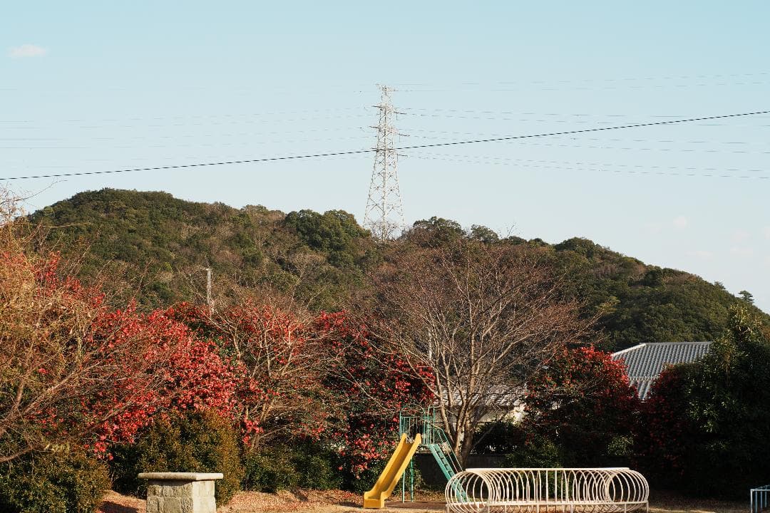 【整備テスト】オリンパス Zuiko Auto-S 40mm F1.4 996