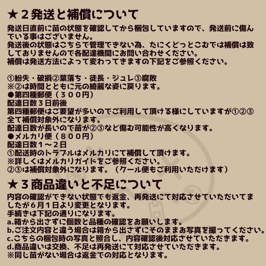 Ry様
