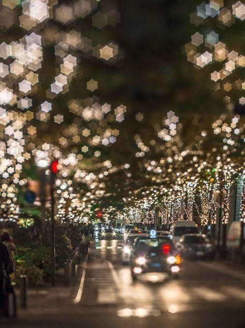 24　美品【希少】星ボケIndustar61 L/Z MC 50mm f2.8