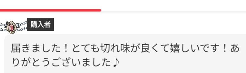 スパスパ快適に切れる理美容師プロ用セニングシザー10%人気の溝無し✨スキバサミ✨